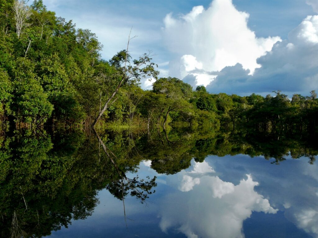 Documento propõe um novo olhar sobre a Amazônia -Foto: Divulgação