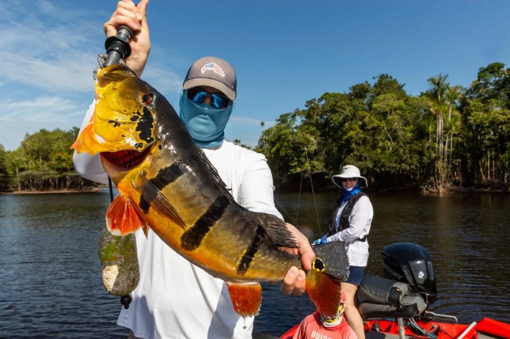 Pesca esportiva no Amazonas - Foto: Divulgação