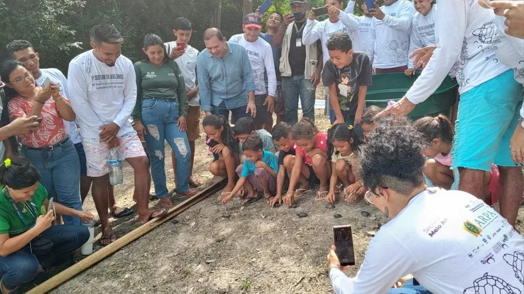 Soltura de quelônios no Amazo