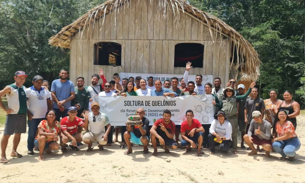 Soltura de quelônios no Amazonas (Foto: Divulgação)