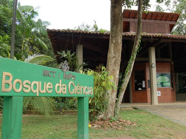 Bosque da ciência é um museu ao ar livre pertencente ao Instituto Nacional de Pesquisas da Amazônia (INPA)