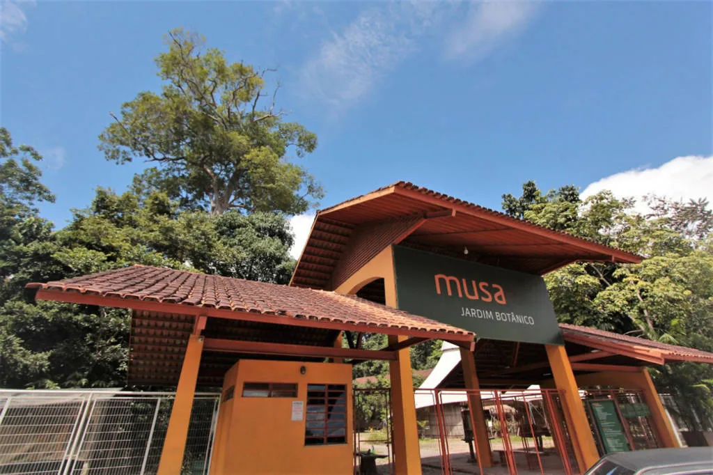 Mergulhe na história e na biodiversidade da Amazônia no Museu da Amazônia (MUSA) em Manaus! Explore diferentes exposições sobre a fauna, flora e cultura da região, e aprenda sobre a importância da preservação da floresta. (Foto: Reprodução)