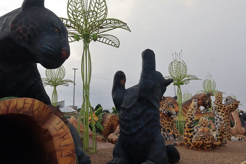 Parque Gigantes da Floresta em Manaus (Foto: Divulgação)