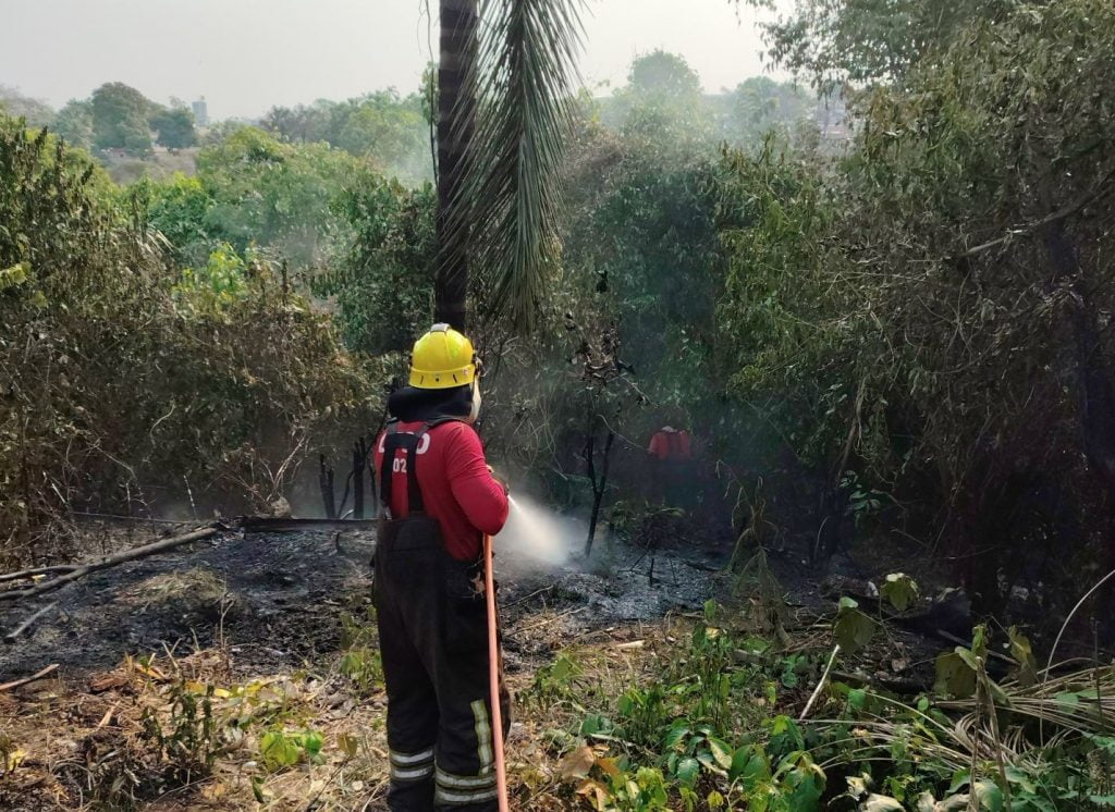 CBMAM-INCENDIO-VEGETACAO-MORRO-LIBERDADE