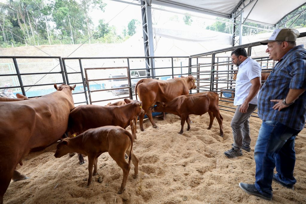 Governador-Wilson-Lima-abre-46a-Expoagro-destacando-acoes-para-fortalecer-setor-afetado-pela-estiagem-Foto-Diego-Peres