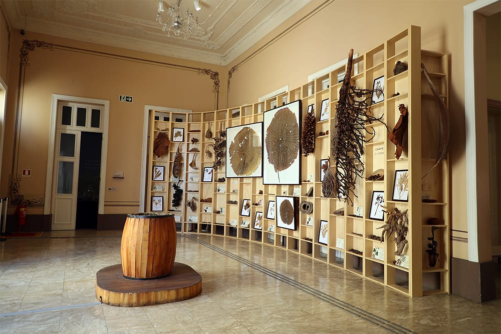 museu da cidade de manaus