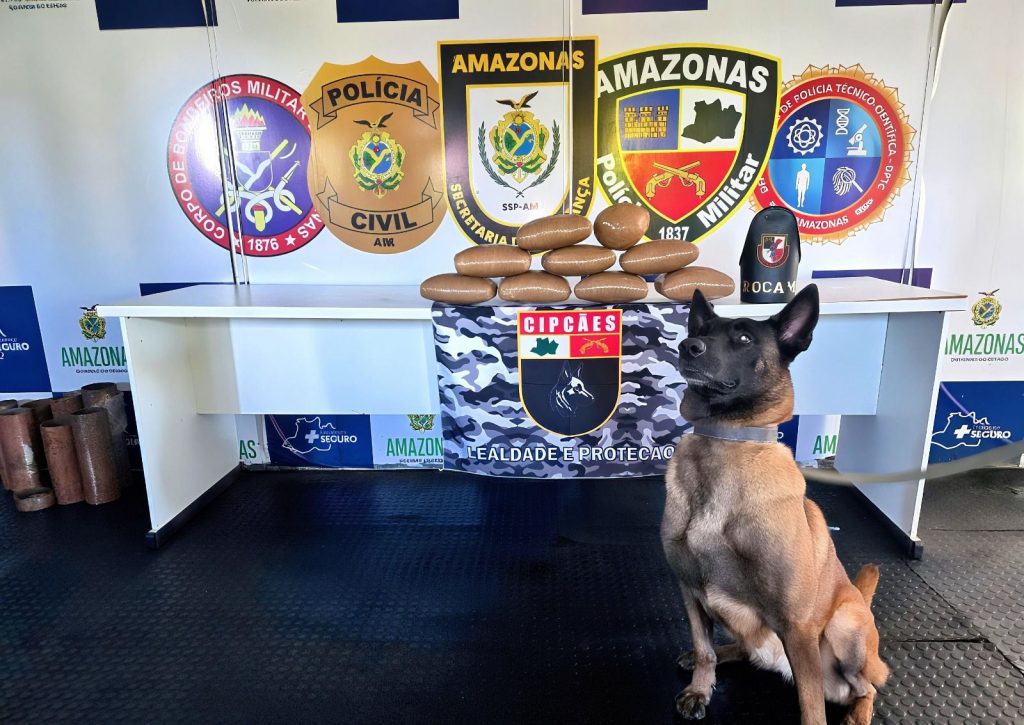 Cadela policial Havana durante operação da PM na Base Arpão 3 em Coari