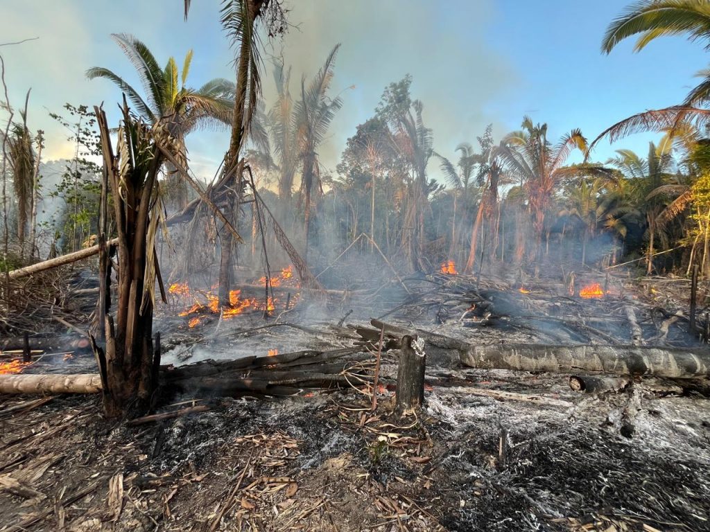 Equipe do MPAM durante ronda ambiental em área de floresta desmatada em Manicoré