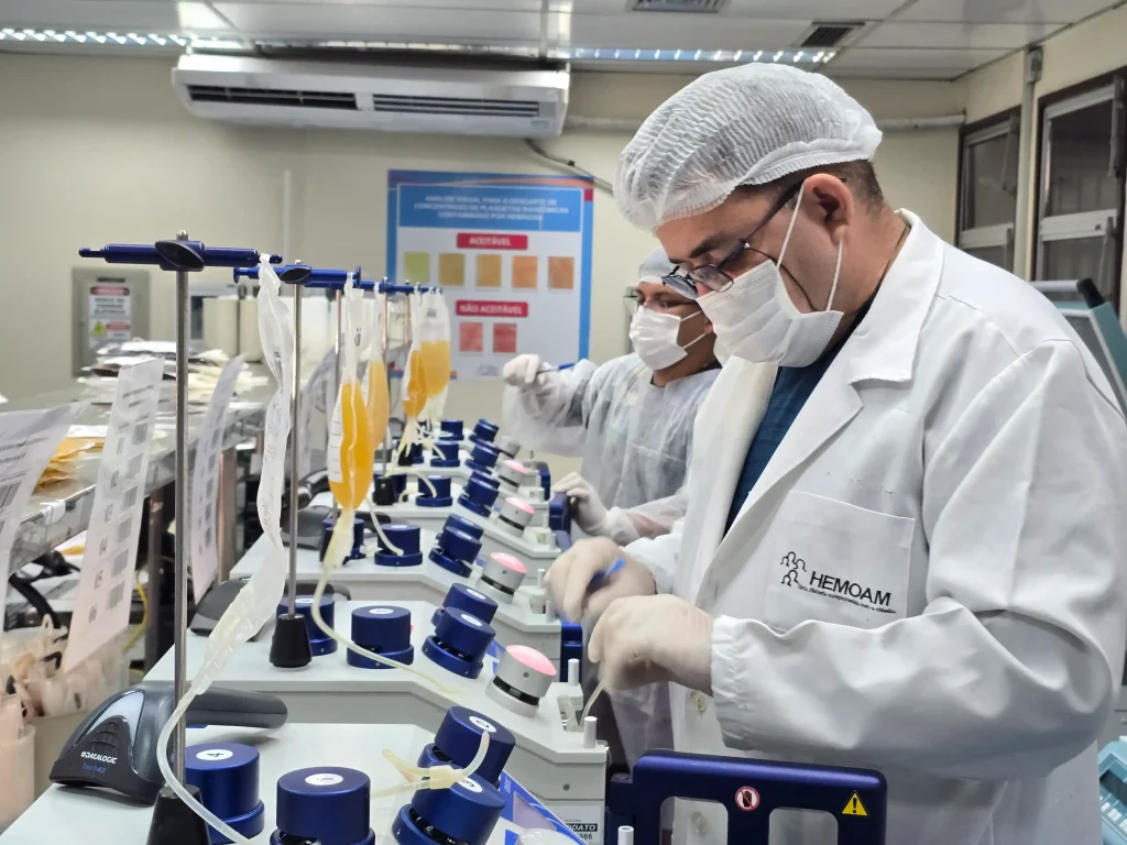 Equipe do Hemoam prepara envio de plasma excedente para produção de medicamentos hemoderivados