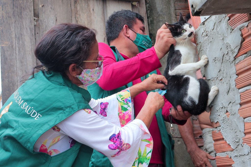 Vacinação de animais em Manaus