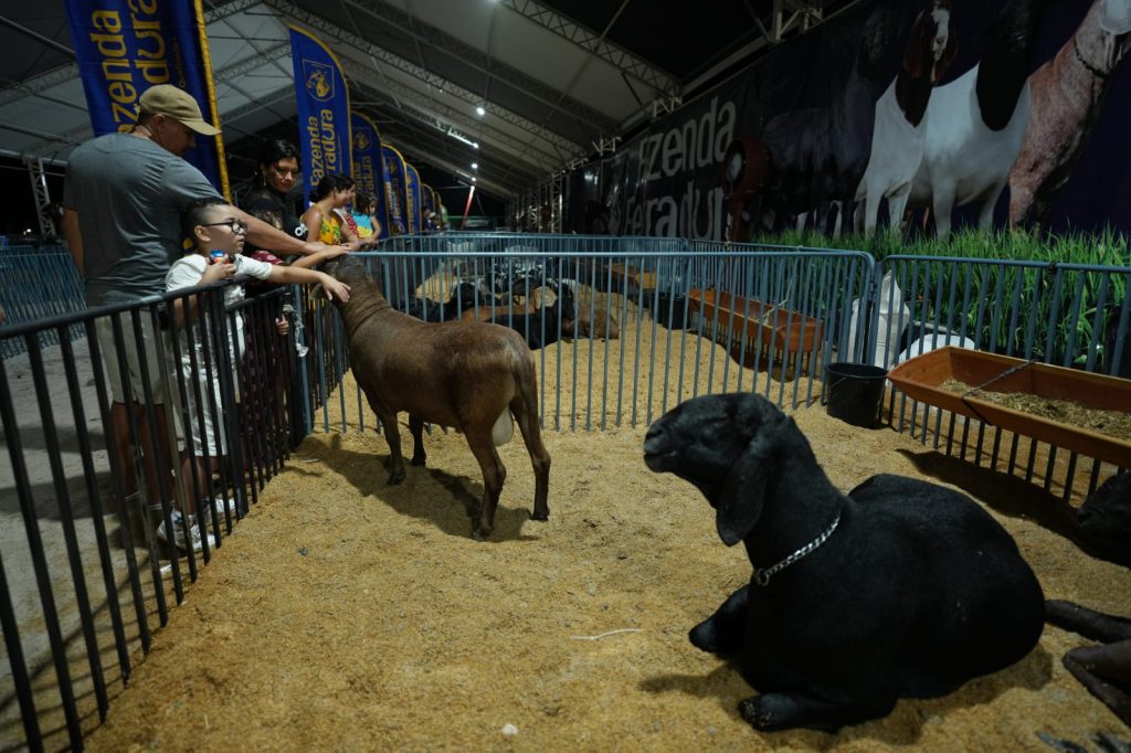 Realização da Expoagro 2025 em Manaus