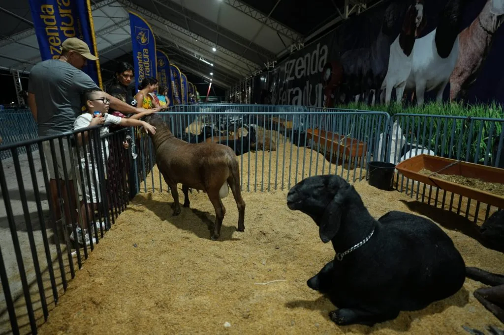 Realização da Expoagro 2025 em Manaus