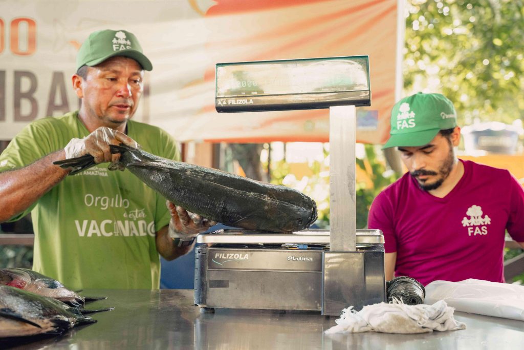 Venda de tambaqui manejado na Feira do Tambaqui em Manaus