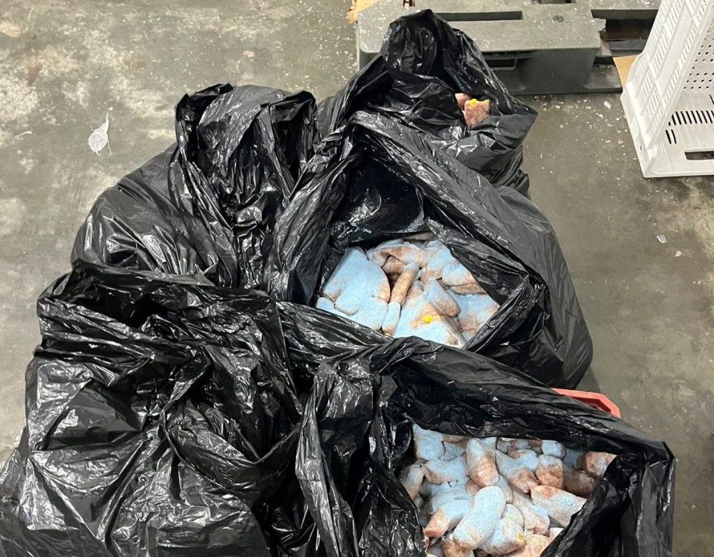 Fiscal da Visa Manaus apreende linguiça de frango vencida em comércio no bairro Educandos, zona Sul de Manaus.