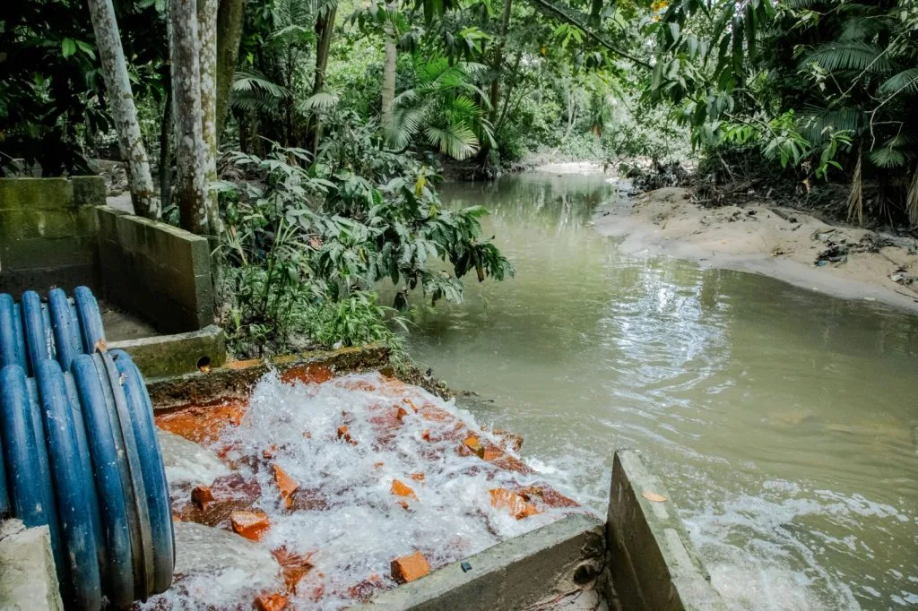 Despoluição de igarapé em Manaus 