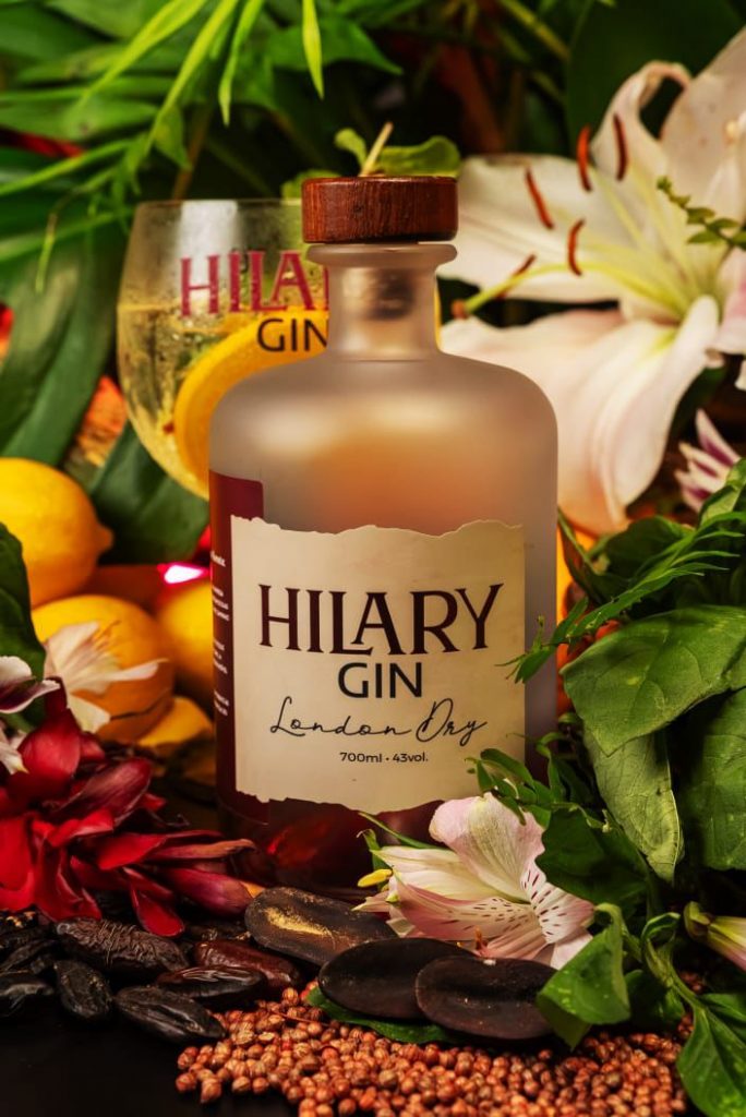 Hilary Gin indústria de bebidas do Amazonas