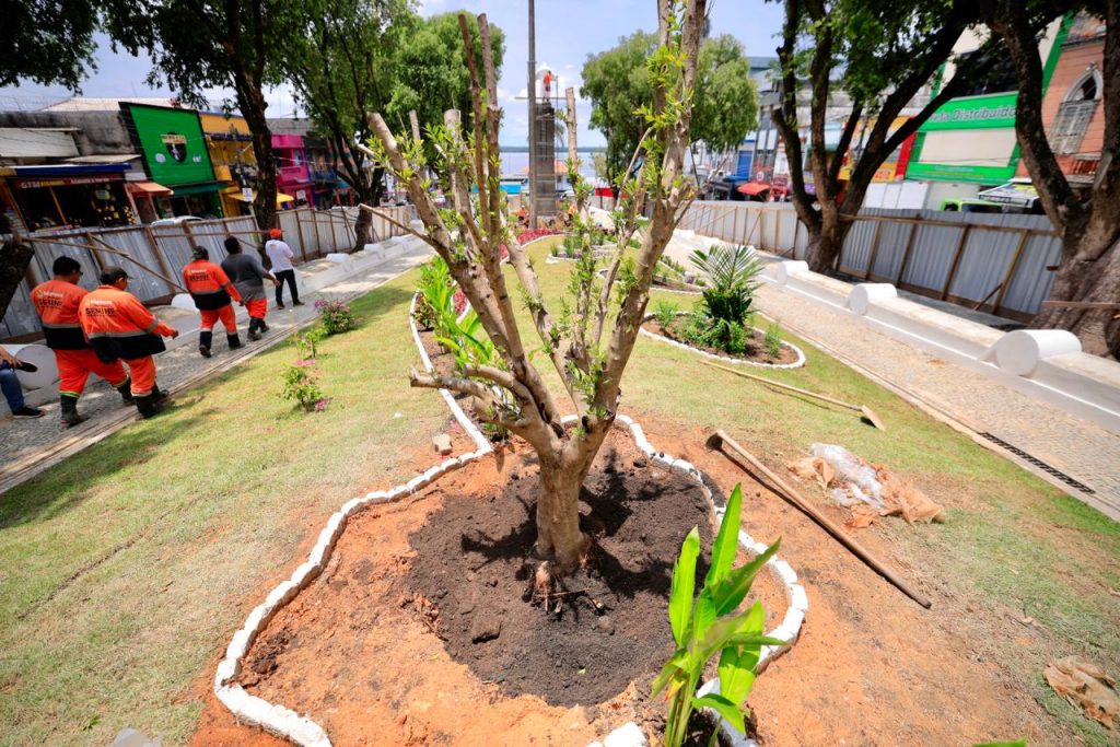 Prefeito-David-Almeida-e-vice-Renato-Junior-realizam-plantio-de-oliveiras-na-fase-final-do-restauro-da-praca-dos-Remedios-e-destacam-cuidado-historico-e-social-no-Centro