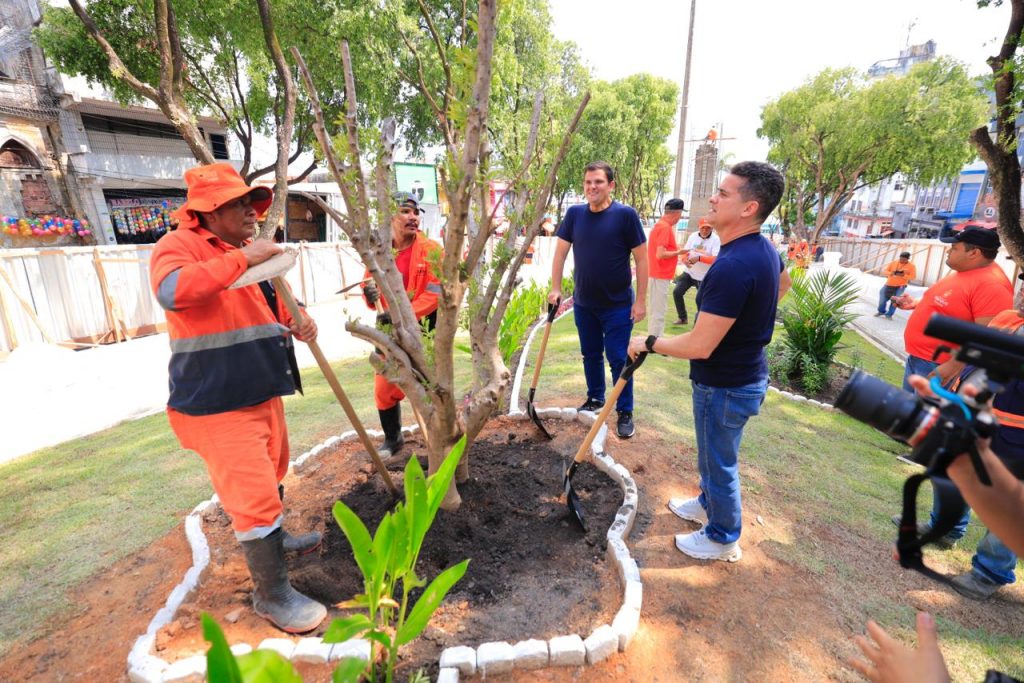 Prefeito David Almeida planta oliveiras na praça dos Remédios durante revitalização do Centro Histórico de Manaus