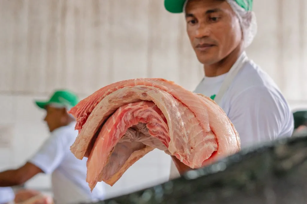 Manejadores vendem pirarucu sustentável da RDS Mamirauá em feira da Fundação Amazônia Sustentável em Manaus