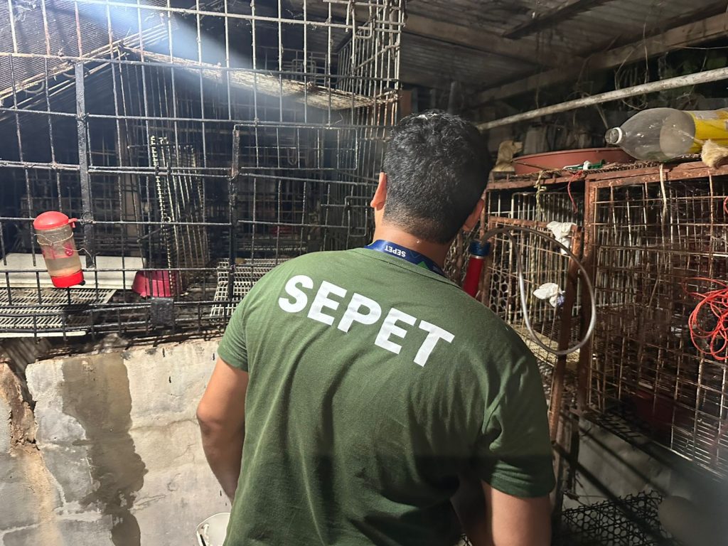 Animais em situação de maus-tratos apreendidos em canil de Manaus