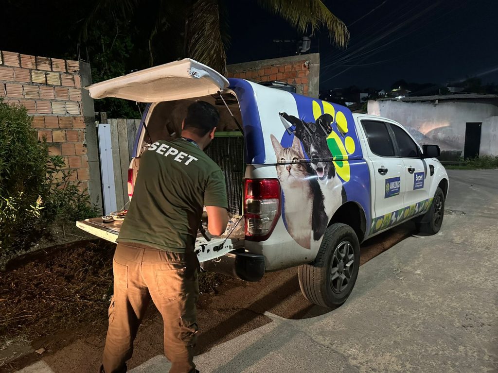 Animais em situação de maus-tratos apreendidos em canil de Manaus