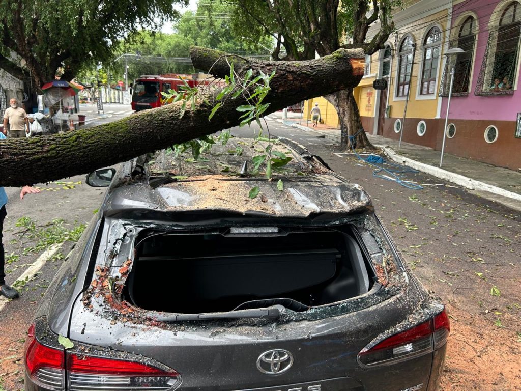 Tronco de árvore caído sobre carro na avenida Ferreira Pena, no Centro de Manaus.