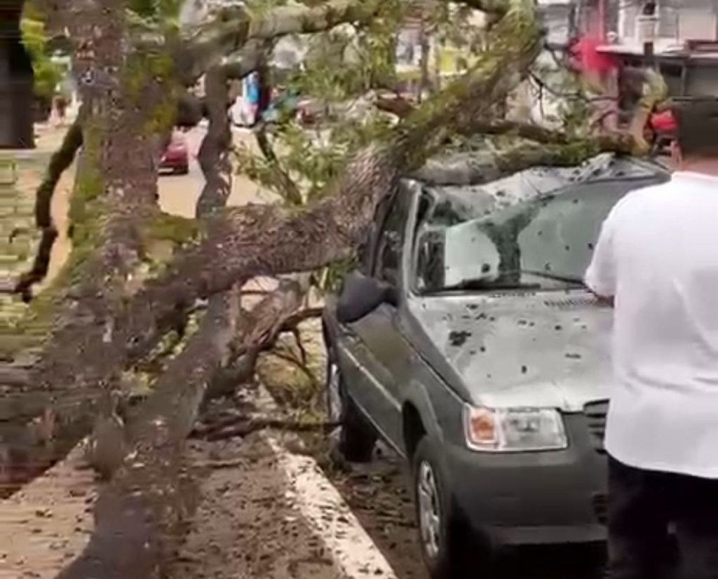 árvore caída sobre carro na avenida Constantino Nery após temporal em Manaus