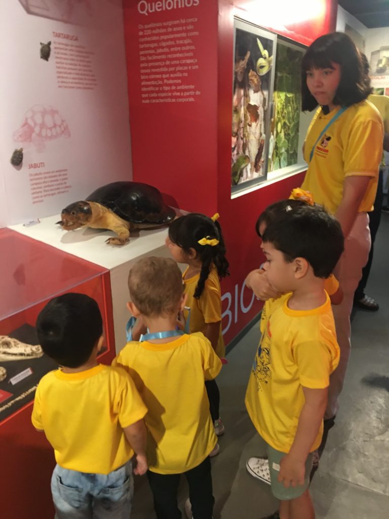 Colônias de Férias ‘Missão Diversão’ em Manaus começam em dezembro Crianças brincam em atividades de colônias de férias em Manaus