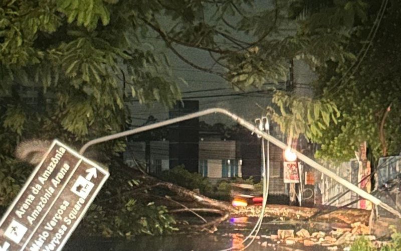 VIDEO: Chuva forte derruba árvores, alaga ruas e deixa bairros sem energia em Manaus Árvore caída após chuva forte em Manaus durante temporal de domingo
