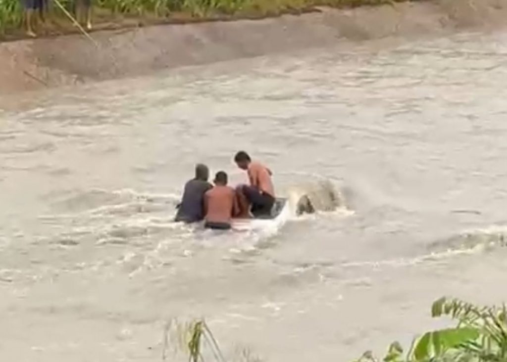 Vídeo mostra resgate dramático de vítimas de carro que caiu em igarapé em Manaus Bombeiros realizam resgate de vítimas em carro que caiu em igarapé no Japiim
