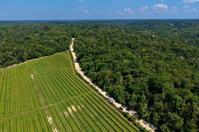 Assinatura de serviço para asfaltamento e infraestrutura no Ramal Água Branca, na Zona Rural de Manaus
