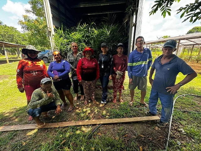 Produtores de açaí no AM, fruto reconhecido oficialmente como fruta brasileira