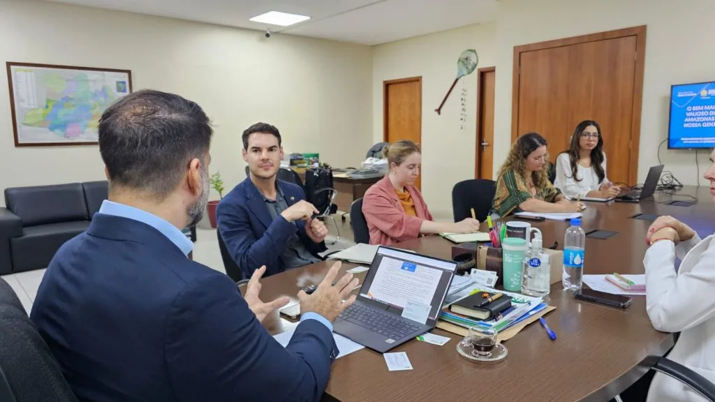 Embaixada da Irlanda reconhece esforço do Amazonas na redução do desmatamento