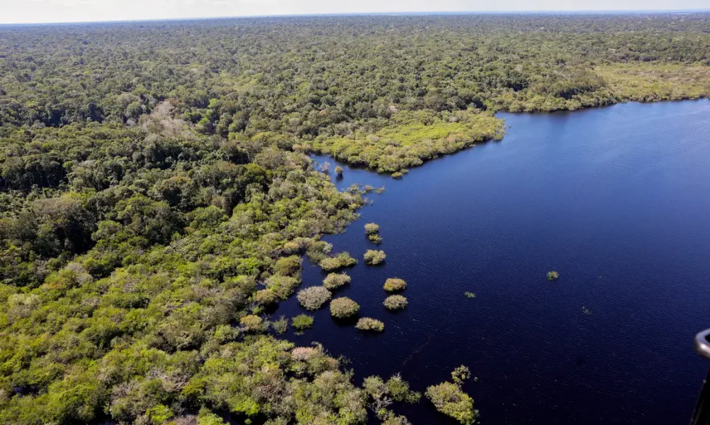 A Amazônia Legal ocupa cerca de 59% do território brasileiro e reúne 29 milhões de habitantes.