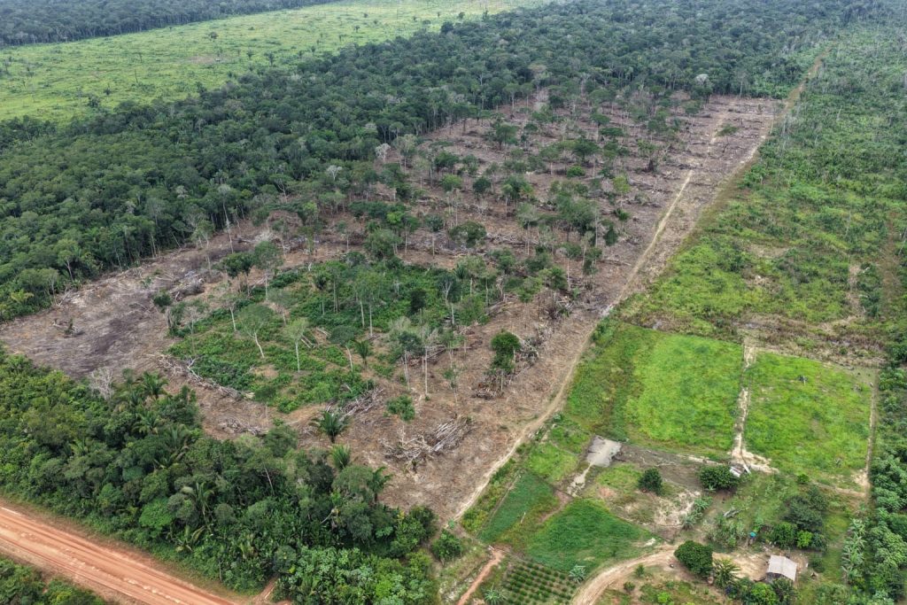 Desmatamento na cidade de Humaitá, no Sul do Amazonas 