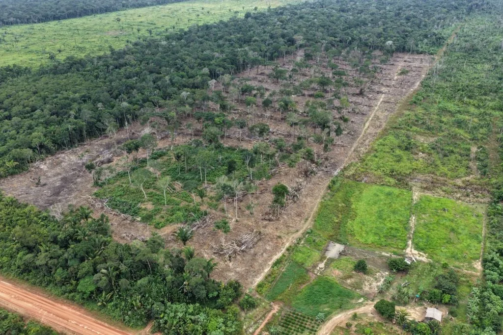 Desmatamento na cidade de Humaitá, no Sul do Amazonas 