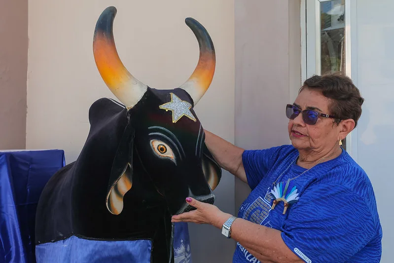 Festival-de-Parintins-2026_Com-casas-decoradas-familias-mantem-tradicao-para-receber-Boi-de-Rua-neste-sabado
