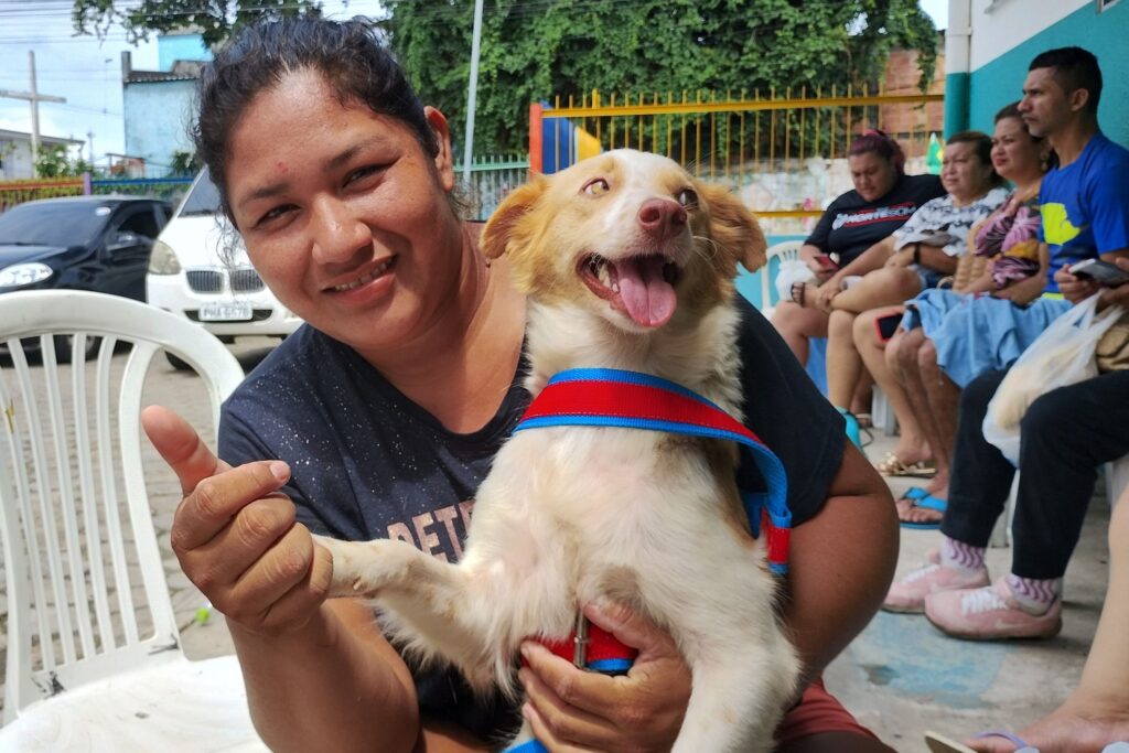 Castração gratuita de cães e gatos abre vagas em Manaus